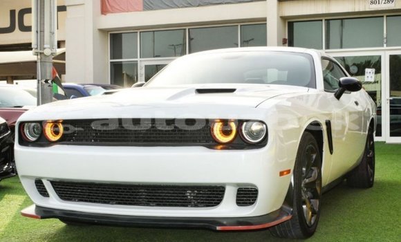 Buy Import Dodge Challenger White Car in Import - Dubai in Andijon