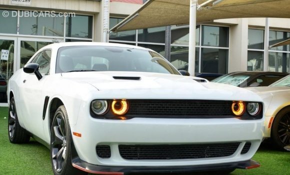 Buy Import Dodge Challenger White Car in Import - Dubai in Andijon Buy Import Dodge Challenger White Car in Import - Dubai in Andijon