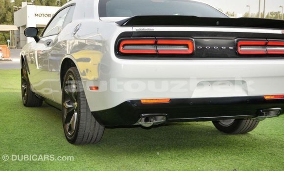 Buy Import Dodge Challenger White Car in Import - Dubai in Andijon Buy Import Dodge Challenger White Car in Import - Dubai in Andijon