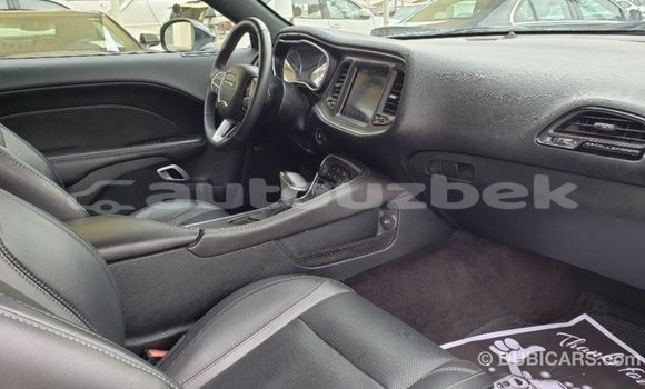 Buy Import Dodge Challenger White Car in Import - Dubai in Andijon Buy Import Dodge Challenger White Car in Import - Dubai in Andijon