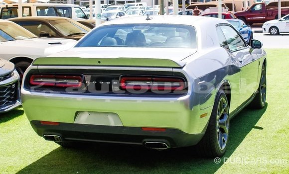 Buy Import Dodge Challenger Other Car in Import - Dubai in Andijon Buy Import Dodge Challenger Other Car in Import - Dubai in Andijon
