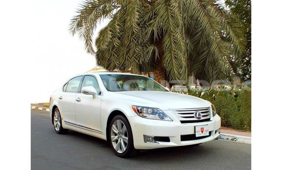 Buy Import Lexus LS White Car in Import - Dubai in Andijon