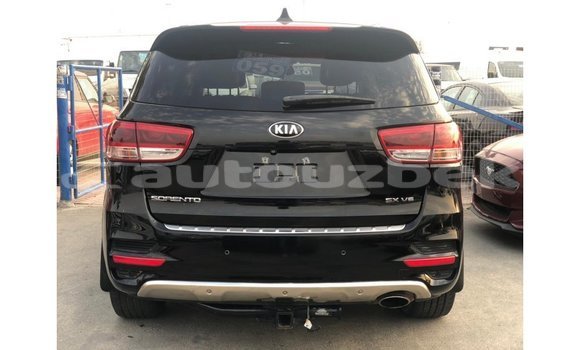 Buy Import Kia Sorento Black Car in Import - Dubai in Andijon Buy Import Kia Sorento Black Car in Import - Dubai in Andijon