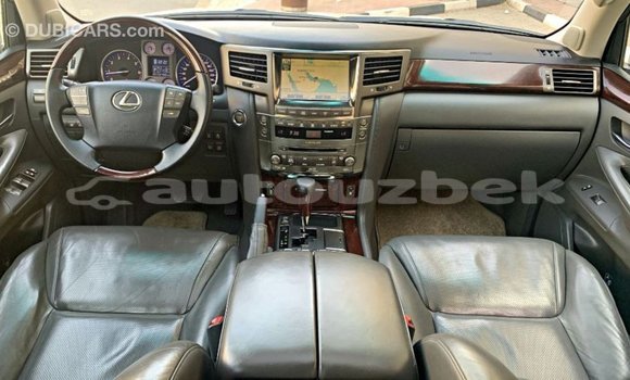 Buy Import Lexus LX Other Car in Import - Dubai in Andijon Buy Import Lexus LX Other Car in Import - Dubai in Andijon