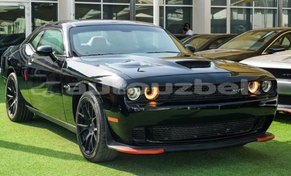 Buy Import Dodge Challenger Black Car in Import - Dubai in Andijon