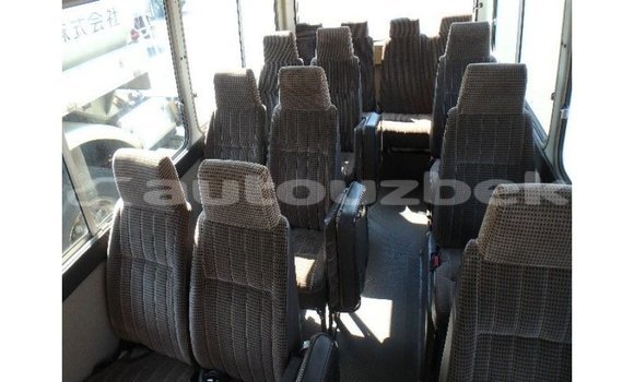 Buy Import Toyota Coaster White Car in Import - Dubai in Andijon Buy Import Toyota Coaster White Car in Import - Dubai in Andijon