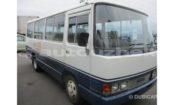 Buy Import Toyota Coaster White Car in Import - Dubai in Andijon Buy Import Toyota Coaster White Car in Import - Dubai in Andijon