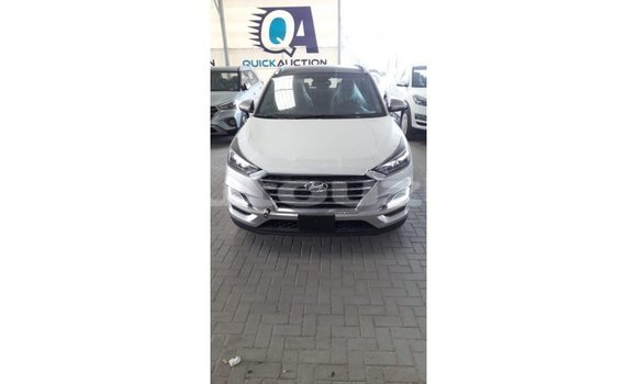Buy Import Hyundai Tucson Other Car in Import - Dubai in Andijon