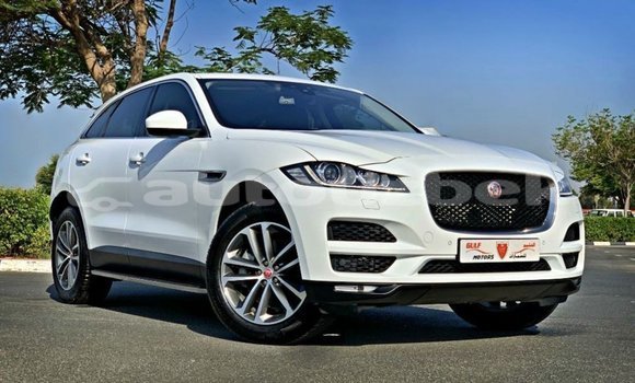 Buy Import Jaguar F-Pace White Car in Import - Dubai in Andijon