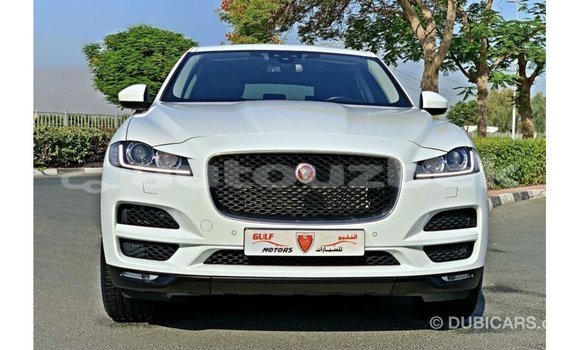 Buy Import Jaguar F-Pace White Car in Import - Dubai in Andijon Buy Import Jaguar F-Pace White Car in Import - Dubai in Andijon