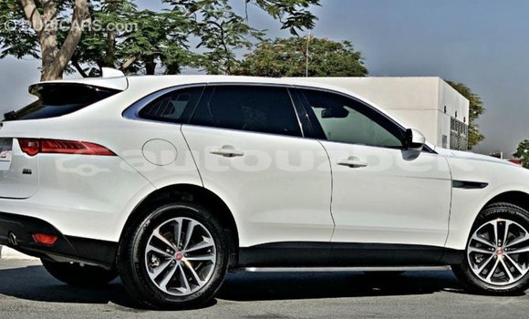 Buy Import Jaguar F-Pace White Car in Import - Dubai in Andijon Buy Import Jaguar F-Pace White Car in Import - Dubai in Andijon