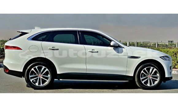 Buy Import Jaguar F-Pace White Car in Import - Dubai in Andijon Buy Import Jaguar F-Pace White Car in Import - Dubai in Andijon