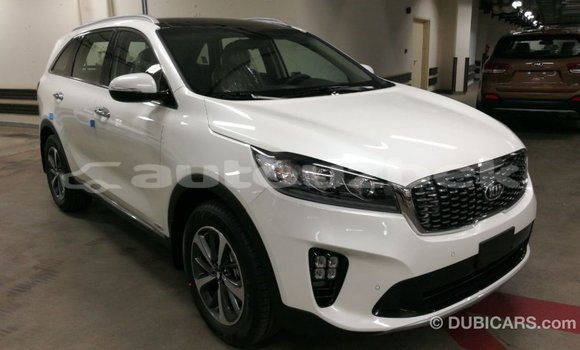 Buy Import Kia Sorento White Car in Import - Dubai in Andijon Buy Import Kia Sorento White Car in Import - Dubai in Andijon