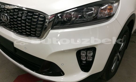 Buy Import Kia Sorento White Car in Import - Dubai in Andijon Buy Import Kia Sorento White Car in Import - Dubai in Andijon
