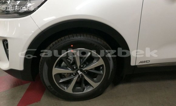Buy Import Kia Sorento White Car in Import - Dubai in Andijon Buy Import Kia Sorento White Car in Import - Dubai in Andijon