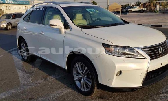 Buy Import Lexus RX 350 White Car in Import - Dubai in Andijon Buy Import Lexus RX 350 White Car in Import - Dubai in Andijon