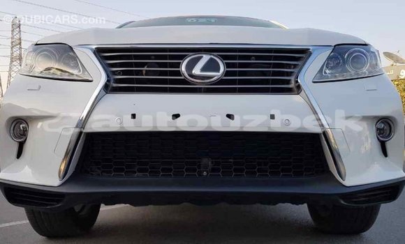 Buy Import Lexus RX 350 White Car in Import - Dubai in Andijon Buy Import Lexus RX 350 White Car in Import - Dubai in Andijon