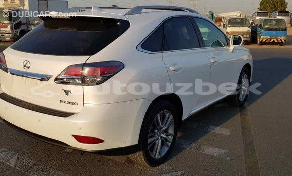 Buy Import Lexus RX 350 White Car in Import - Dubai in Andijon Buy Import Lexus RX 350 White Car in Import - Dubai in Andijon