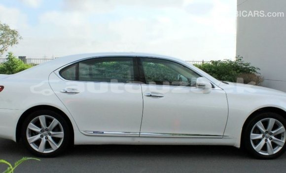 Buy Import Lexus LS White Car in Import - Dubai in Andijon Buy Import Lexus LS White Car in Import - Dubai in Andijon