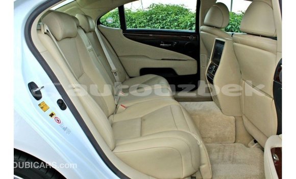 Buy Import Lexus LS White Car in Import - Dubai in Andijon Buy Import Lexus LS White Car in Import - Dubai in Andijon