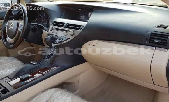 Buy Import Lexus RX 350 White Car in Import - Dubai in Andijon Buy Import Lexus RX 350 White Car in Import - Dubai in Andijon