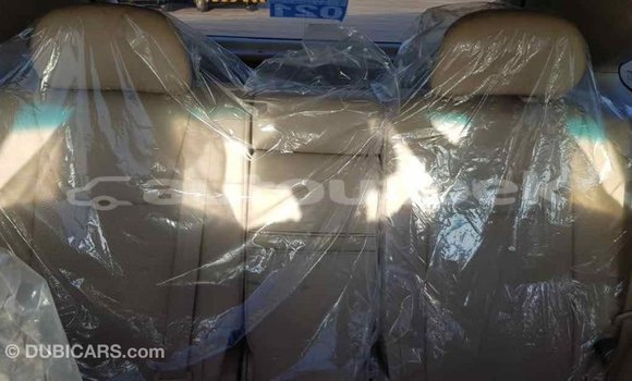 Buy Import Lexus RX 350 White Car in Import - Dubai in Andijon Buy Import Lexus RX 350 White Car in Import - Dubai in Andijon