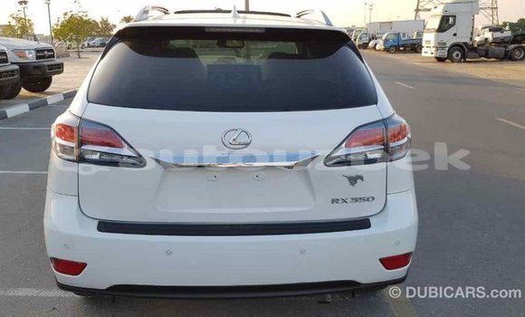 Buy Import Lexus RX 350 White Car in Import - Dubai in Andijon Buy Import Lexus RX 350 White Car in Import - Dubai in Andijon