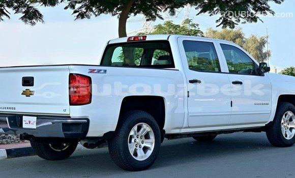 Buy Import Chevrolet Silverado White Car in Import - Dubai in Andijon Buy Import Chevrolet Silverado White Car in Import - Dubai in Andijon