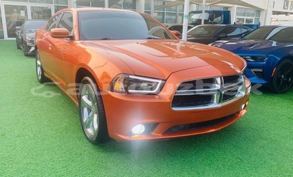 Buy Import Dodge Charger Other Car in Import - Dubai in Andijon