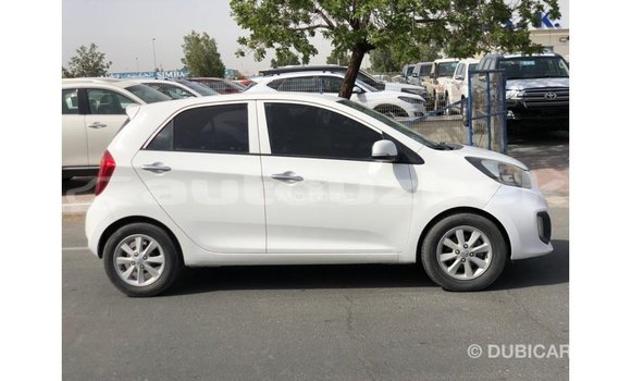 Buy Import Kia Picanto White Car in Import - Dubai in Andijon Buy Import Kia Picanto White Car in Import - Dubai in Andijon