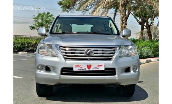 Buy Import Lexus LX Other Car in Import - Dubai in Andijon Buy Import Lexus LX Other Car in Import - Dubai in Andijon