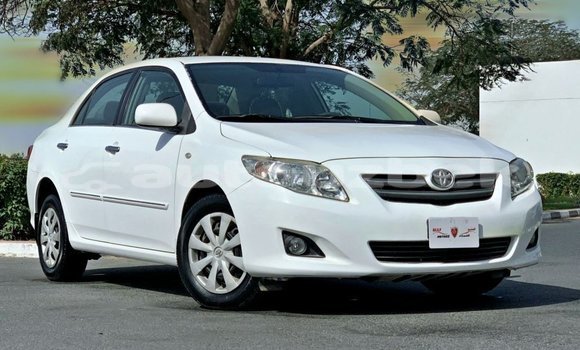 Buy Import Toyota Corolla White Car in Import - Dubai in Andijon
