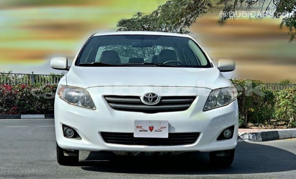 Buy Import Toyota Corolla White Car in Import - Dubai in Andijon Buy Import Toyota Corolla White Car in Import - Dubai in Andijon
