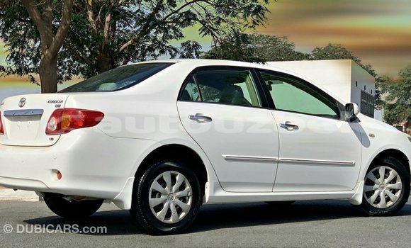 Buy Import Toyota Corolla White Car in Import - Dubai in Andijon Buy Import Toyota Corolla White Car in Import - Dubai in Andijon