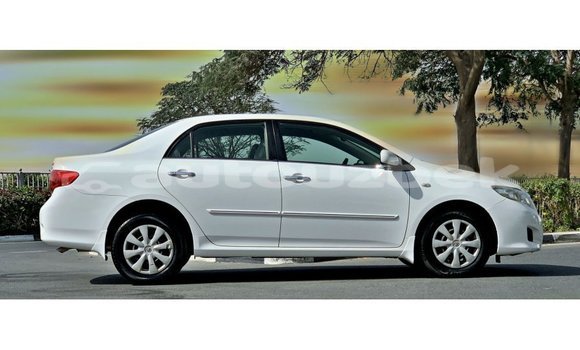 Buy Import Toyota Corolla White Car in Import - Dubai in Andijon Buy Import Toyota Corolla White Car in Import - Dubai in Andijon