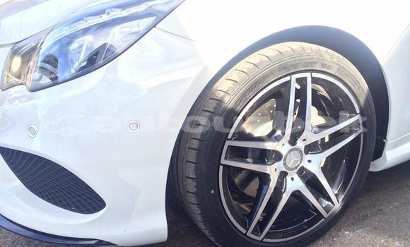 Buy Used Mercedes-Benz E-klasse White Car in Tashkent in Toskent Buy Used Mercedes-Benz E-klasse White Car in Tashkent in Toskent