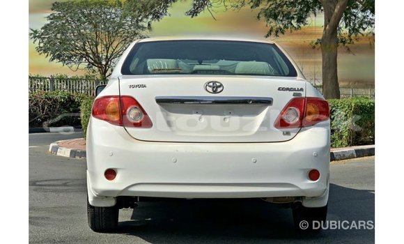 Buy Import Toyota Corolla White Car in Import - Dubai in Andijon Buy Import Toyota Corolla White Car in Import - Dubai in Andijon
