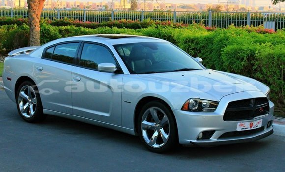 Buy Import Dodge Charger Other Car in Import - Dubai in Andijon Buy Import Dodge Charger Other Car in Import - Dubai in Andijon