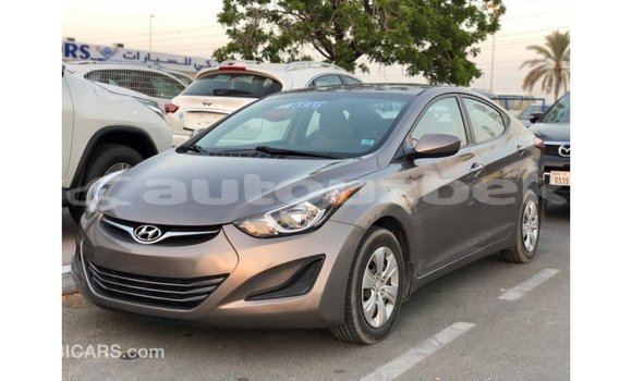 Buy Import Hyundai Elantra Brown Car in Import - Dubai in Andijon Buy Import Hyundai Elantra Brown Car in Import - Dubai in Andijon