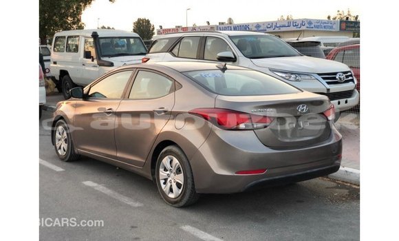 Buy Import Hyundai Elantra Brown Car in Import - Dubai in Andijon Buy Import Hyundai Elantra Brown Car in Import - Dubai in Andijon