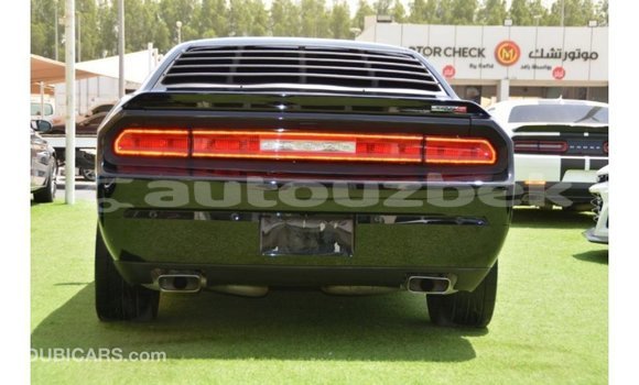 Buy Import Dodge Challenger Black Car in Import - Dubai in Andijon Buy Import Dodge Challenger Black Car in Import - Dubai in Andijon