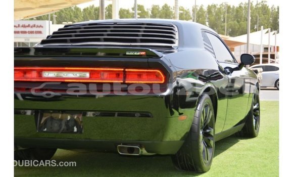 Buy Import Dodge Challenger Black Car in Import - Dubai in Andijon Buy Import Dodge Challenger Black Car in Import - Dubai in Andijon