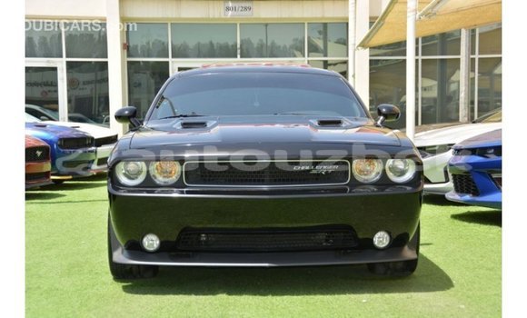 Buy Import Dodge Challenger Black Car in Import - Dubai in Andijon Buy Import Dodge Challenger Black Car in Import - Dubai in Andijon