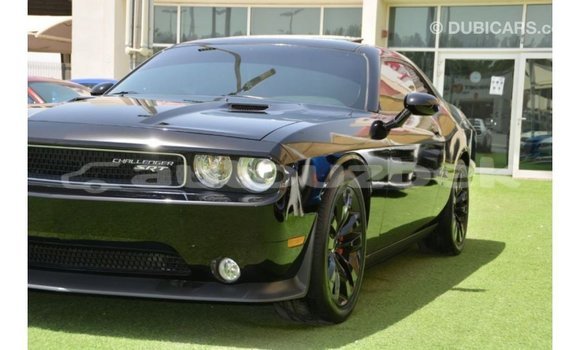 Buy Import Dodge Challenger Black Car in Import - Dubai in Andijon Buy Import Dodge Challenger Black Car in Import - Dubai in Andijon