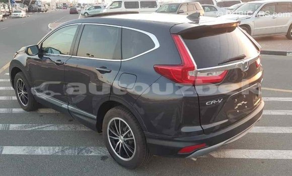 Buy Import Honda C Other Bike in Import - Dubai in Andijon Buy Import Honda C Other Bike in Import - Dubai in Andijon