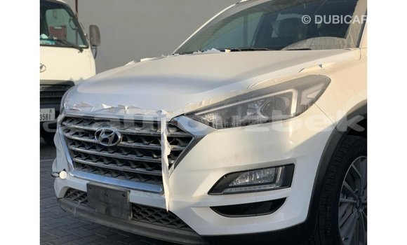 Buy Import Hyundai Tucson White Car in Import - Dubai in Andijon Buy Import Hyundai Tucson White Car in Import - Dubai in Andijon