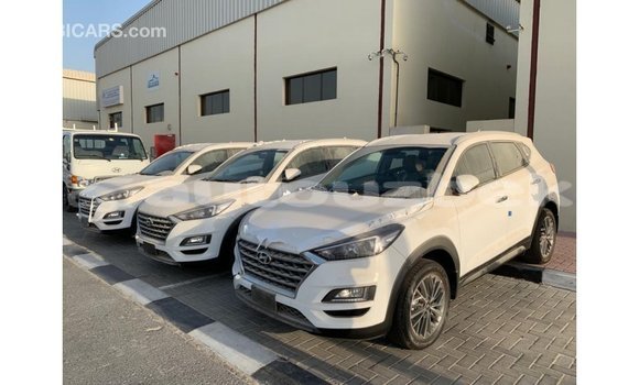 Buy Import Hyundai Tucson White Car in Import - Dubai in Andijon Buy Import Hyundai Tucson White Car in Import - Dubai in Andijon
