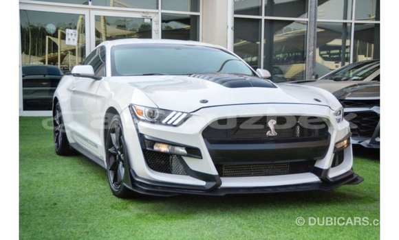 Buy Import Ford Mustang White Car in Import - Dubai in Andijon Buy Import Ford Mustang White Car in Import - Dubai in Andijon