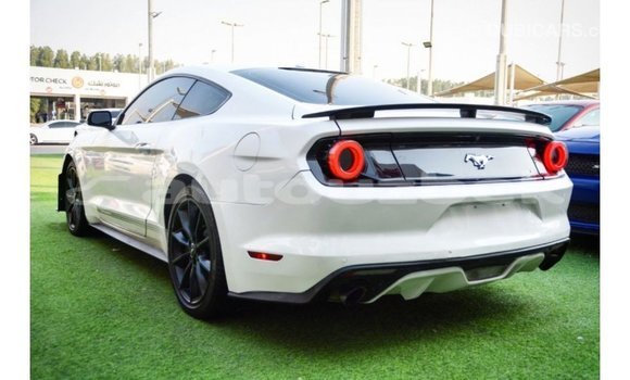 Buy Import Ford Mustang White Car in Import - Dubai in Andijon Buy Import Ford Mustang White Car in Import - Dubai in Andijon