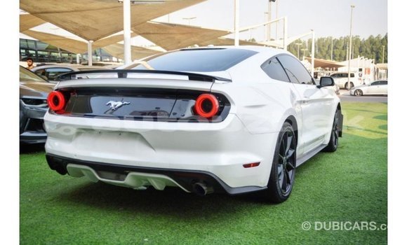 Buy Import Ford Mustang White Car in Import - Dubai in Andijon Buy Import Ford Mustang White Car in Import - Dubai in Andijon